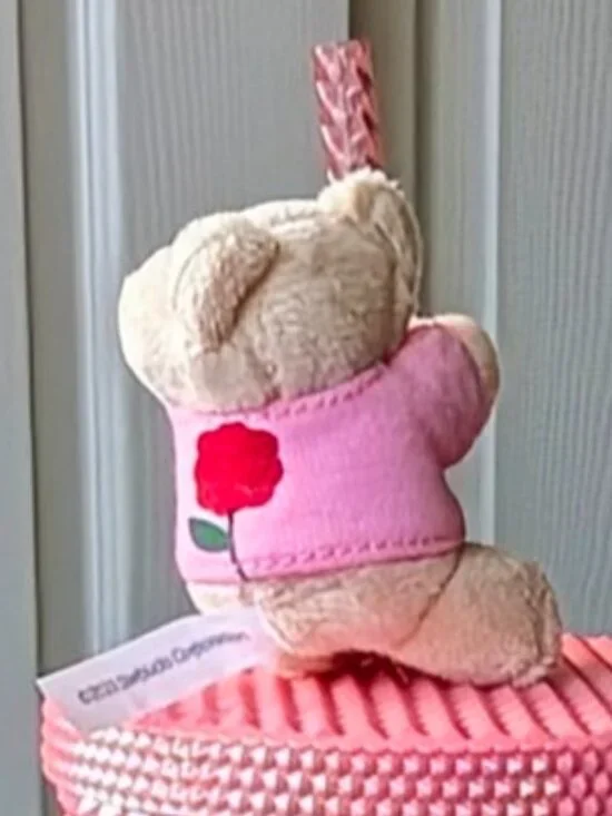 Brand New Starbucks Japan 🇯🇵 Exclusive Mother’s Day Bearista Bear Message Gift - Picture 4 of 9